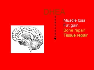 DHEA
Muscle loss
Fat gain
Bone repair
Tissue repair
 