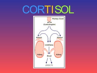 CORTISOL
 