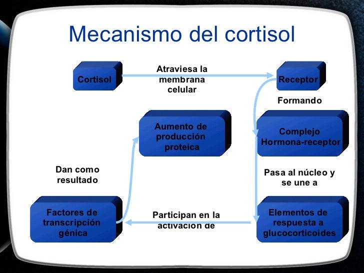 Cortisol