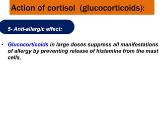 Action of cortisol (glucocorticoids):
5- Anti-allergic effect:
• Glucocorticoids in large doses suppress all manifestations
of allergy by preventing release of histamine from the mast
cells.
 
