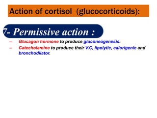 Action of cortisol (glucocorticoids):
7- Permissive action :
– Glucagon hormone to produce gluconeogenesis.
– Catecholamine to produce their V.C, lipolytic, calorigenic and
bronchodilator.
 