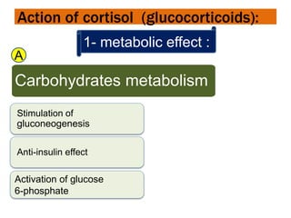 Action of cortisol (glucocorticoids):
1- metabolic effect :
Carbohydrates metabolism
Stimulation of
gluconeogenesis
Anti-insulin effect
Activation of glucose
6-phosphate
A
 