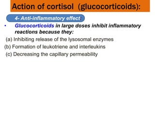 Action of cortisol (glucocorticoids):
• 4- Anti-inflammatory effect:
• Glucocorticoids in large doses inhibit inflammatory
reactions because they:
(a) Inhibiting release of the lysosomal enzymes
(b) Formation of leukotriene and interleukins
(c) Decreasing the capillary permeability
 