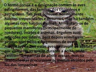 O termo coruja é a designação comum às aves estrigiformes, das famílias dos titonídeos e estrigídeos. Tais aves possuem normalmente hábitos crepusculares e noturnos, mas há também algumas com hábitos diurnos. Alimentam-se de pequenos mamíferos (principalmente de roedores), insetos e aranhas. Engolem suas refeições por inteiro, para depois vomitarem pelotas com pêlos e fragmentos de ossos. Acreditava-se que essas aves gostavam de azeite por visitarem as igrejas durante a noite, onde existiam lamparinas de azeite acesas, mas na realidade elas procuravam os insetos atraídos pela luz das lamparinas. 
