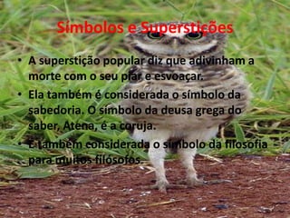 Símbolos e SuperstiçõesA superstição popular diz que adivinham a morte com o seu piar e esvoaçar.Ela também é considerada o símbolo da sabedoria. O símbolo da deusa grega do saber, Atena, é a coruja. É também considerada o símbolo da filosofia para muitos filósofos.