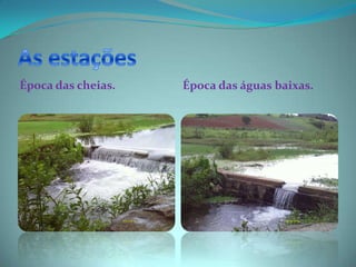 Época das cheias.   Época das águas baixas.
 
