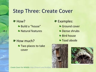 Step Three: Create Cover How? Build a “house” Natural features How much? Two places to take cover Examples: Ground cover Dense shrubs Bird house Toad abode Create Cover For Wildlife:  http: //tinyurl .com/3v34fap 
