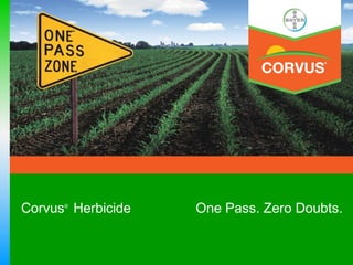 Corvus Herbicide
      ®
                   One Pass. Zero Doubts.
 