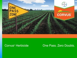 Corvus® Herbicide   One Pass. Zero Doubts.!
 