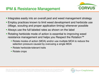 IPM & Resistance Management!

§  Integrates easily into an overall pest and weed management strategy!
§  Employ practices known to limit weed development and herbicide use
    (tillage, scouting and proper application timing) whenever possible!
§  Always use the full labeled rates as shown on the label!
§  Rotating herbicide mode of action is essential to improving weed
    resistance management and helps you Respect the Rotation™!
           §  Rotate modes of action (MOA) and/or use multiple MOA to reduce the
               selection pressure caused by overusing a single MOA!
           §  Rotate herbicide-tolerant traits!
           §  Rotate crops!




Bayer (reg d) and the Bayer Cross (reg d) are trademarks of Bayer. Additional trademarks and/or logos used in this presentation are the
trademarks of Bayer or the respective brand owner. Always read and follow label instructions. Not all products are registered in all states.
For additional product information call toll-free 1-866-99-BAYER (1-866-992-2937) or visit our website at www.BayerCropScience.us.
 