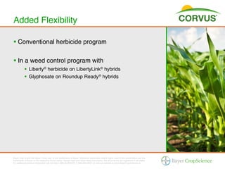 Added Flexibility!

§  Conventional herbicide program!


§  In a weed control program with!
           §  Liberty® herbicide on LibertyLink® hybrids!
           §  Glyphosate on Roundup Ready® hybrids!




Bayer (reg d) and the Bayer Cross (reg d) are trademarks of Bayer. Additional trademarks and/or logos used in this presentation are the
trademarks of Bayer or the respective brand owner. Always read and follow label instructions. Not all products are registered in all states.
For additional product information call toll-free 1-866-99-BAYER (1-866-992-2937) or visit our website at www.BayerCropScience.us.
 