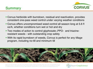 Summary!

§  Corvus herbicide with burndown, residual and reactivation, provides
    consistent one-pass weed control under varying weather conditions!
§  Corvus offers uncompromised weed control all season long at 5.6 ﬂ
    oz/A, whether conditions turn wet or hot and dry!
§  Two modes of action to control glyphosate-,PPO- and triazine-
    resistant weeds - with outstanding crop safety!
§  With its rapid burndown of weeds, Corvus is perfect for any tillage
    program, including no-till and minimum till!




Bayer (reg d) and the Bayer Cross (reg d) are trademarks of Bayer. Additional trademarks and/or logos used in this presentation are the
trademarks of Bayer or the respective brand owner. Always read and follow label instructions. Not all products are registered in all states.
For additional product information call toll-free 1-866-99-BAYER (1-866-992-2937) or visit our website at www.BayerCropScience.us.
 