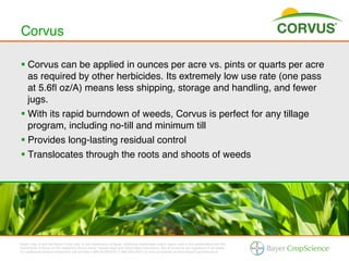 Corvus!

§  Corvus can be applied in ounces per acre vs. pints or quarts per acre
    as required by other herbicides. Its extremely low use rate (one pass
    at 5.6ﬂ oz/A) means less shipping, storage and handling, and fewer
    jugs.!
§  With its rapid burndown of weeds, Corvus is perfect for any tillage
    program, including no-till and minimum till !
§  Provides long-lasting residual control !
§  Translocates through the roots and shoots of weeds!




Bayer (reg d) and the Bayer Cross (reg d) are trademarks of Bayer. Additional trademarks and/or logos used in this presentation are the
trademarks of Bayer or the respective brand owner. Always read and follow label instructions. Not all products are registered in all states.
For additional product information call toll-free 1-866-99-BAYER (1-866-992-2937) or visit our website at www.BayerCropScience.us.
 