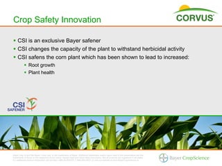 Crop Safety Innovation

§  CSI is an exclusive Bayer safener
§  CSI changes the capacity of the plant to withstand herbicidal activity
§  CSI safens the corn plant which has been shown to lead to increased:
           §  Root growth
           §  Plant health




Bayer (reg d) and the Bayer Cross (reg d) are trademarks of Bayer. Additional trademarks and/or logos used in this presentation are the
trademarks of Bayer or the respective brand owner. Always read and follow label instructions. Not all products are registered in all states.
For additional product information call toll-free 1-866-99-BAYER (1-866-992-2937) or visit our website at www.BayerCropScience.us.
 