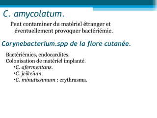 C. amycolatum.
Peut contaminer du matériel étranger et
éventuellement provoquer bactériémie.
Corynebacterium.spp de la flore cutanée.
Bactériémies, endocardites.
Colonisation de matériel implanté.
•C. afermentans.
•C. jeikeium.
•C. minutissimum : erythrasma.
 