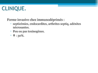 CLINIQUE.
Forme invasive chez immunodéprimés :
▫ septicémies, endocardites, arthrites septiq, adénites
nécrosantes.
▫ Peu ou pas toxinogènes.
▫  : 30%.
 