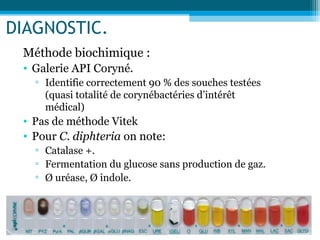 DIAGNOSTIC.
Méthode biochimique :
• Galerie API Coryné.
▫ Identifie correctement 90 % des souches testées
(quasi totalité de corynébactéries d’intérêt
médical)
• Pas de méthode Vitek
• Pour C. diphteria on note:
▫ Catalase +.
▫ Fermentation du glucose sans production de gaz.
▫ Ø uréase, Ø indole.
 