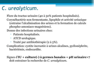 C. urealyticum.
Flore du tractus urinaire (40 à 50% patients hospitalisés).
Corynébactérie non fermentante, lipophile et activité uréasique
(entraine l’alcalinisation des urines et la formation de calculs
phospho-amoniaco-magnésiens).
Donne des infections urinaires chez:
▫ Patients hospitalisés.
▫ ATCD urologique.
▫ Traité par antibiothérapie (2 à 5%).
Complication: cystite incrustée à urines alcalines, pyélonéphrite,
bactériémie, endocardite.
Signes d’IU + culture(-) à germes banales + pH urinaire>7
doit entrainer la recherche de C. urealyticum.
 