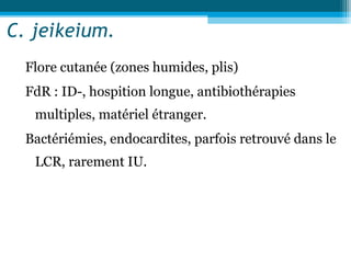 C. jeikeium.
Flore cutanée (zones humides, plis)
FdR : ID-, hospition longue, antibiothérapies
multiples, matériel étranger.
Bactériémies, endocardites, parfois retrouvé dans le
LCR, rarement IU.
 