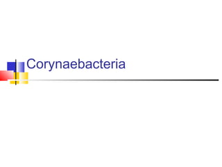 Corynaebacteria
 