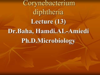 Corynebacterium
diphtheria
Lecture (13)
Dr.Baha, Hamdi.AL-Amiedi
Ph.D.Microbiology
 