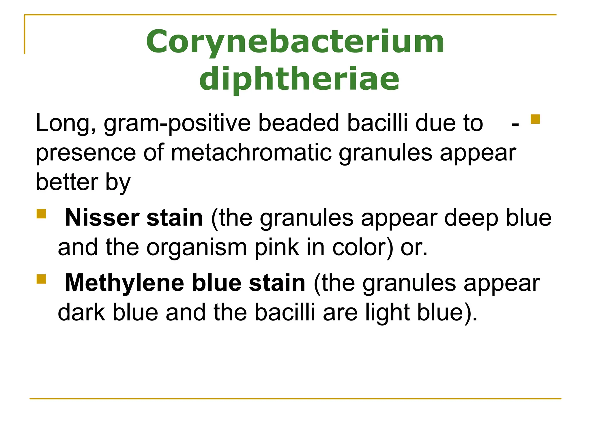 Corynebacterium
diphtheriae

-
Long, gram-positive beaded bacilli due to
presence of metachromatic granules appear
better by
 Nisser stain (the granules appear deep blue
and the organism pink in color) or.
 Methylene blue stain (the granules appear
dark blue and the bacilli are light blue).
 
