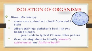 microbiology corynebacterium-11 fcm (1).pptx