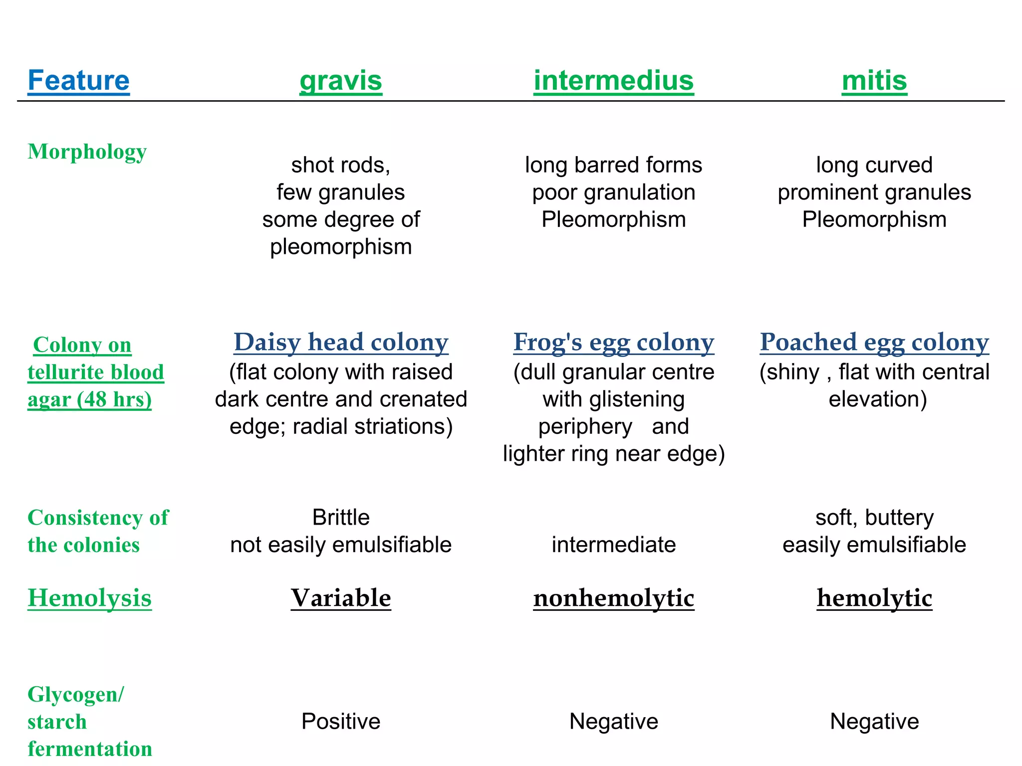 Feature gravis intermedius mitis
Morphology
shot rods,
few granules
some degree of
pleomorphism
long barred forms
poor granulation
Pleomorphism
long curved
prominent granules
Pleomorphism
Colony on
tellurite blood
agar (48 hrs)
Daisy head colony
(flat colony with raised
dark centre and crenated
edge; radial striations)
Frog's egg colony
(dull granular centre
with glistening
periphery and
lighter ring near edge)
Poached egg colony
(shiny , flat with central
elevation)
Consistency of
the colonies
Brittle
not easily emulsifiable intermediate
soft, buttery
easily emulsifiable
Hemolysis Variable nonhemolytic hemolytic
Glycogen/
starch
fermentation
Positive Negative Negative
 