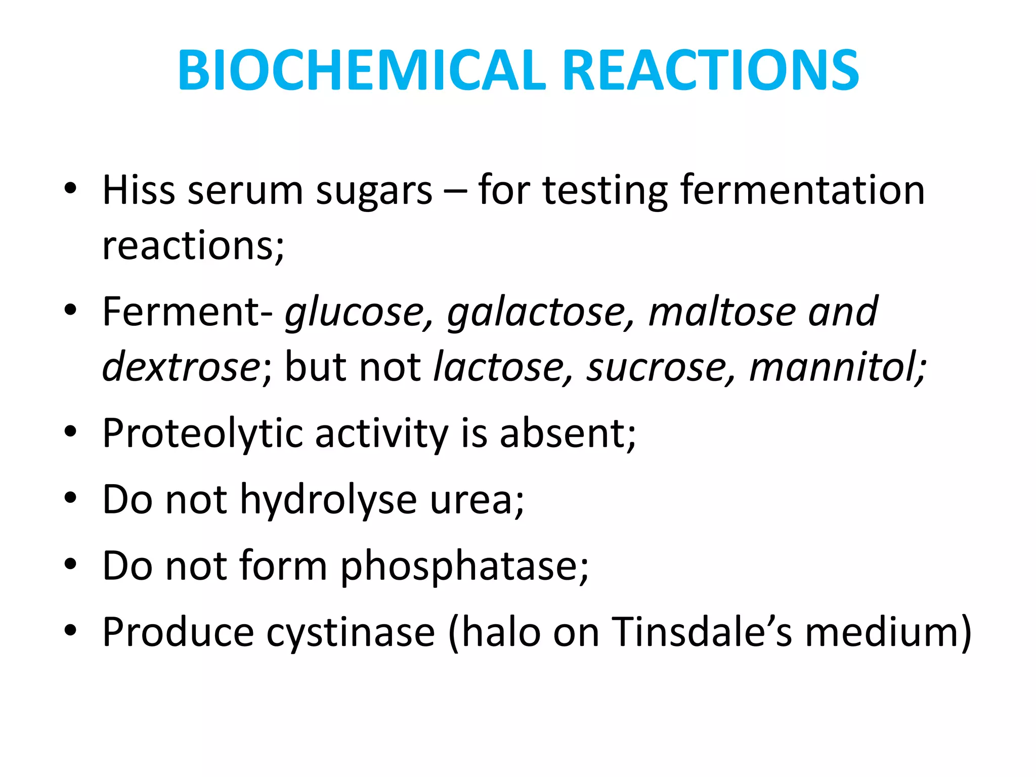 BIOCHEMICAL REACTIONS
• Hiss serum sugars – for testing fermentation
reactions;
• Ferment- glucose, galactose, maltose and
dextrose; but not lactose, sucrose, mannitol;
• Proteolytic activity is absent;
• Do not hydrolyse urea;
• Do not form phosphatase;
• Produce cystinase (halo on Tinsdale’s medium)
 