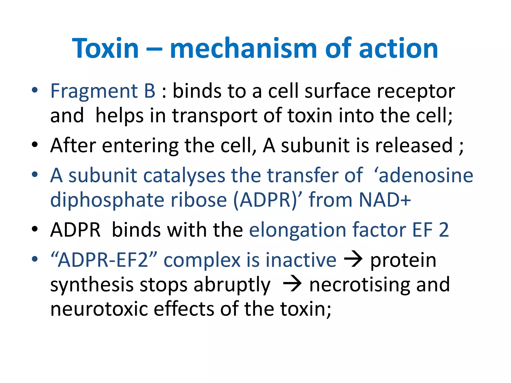 Toxin – mechanism of action
• Fragment B : binds to a cell surface receptor
and helps in transport of toxin into the cell;
• After entering the cell, A subunit is released ;
• A subunit catalyses the transfer of ‘adenosine
diphosphate ribose (ADPR)’ from NAD+
• ADPR binds with the elongation factor EF 2
• “ADPR-EF2” complex is inactive  protein
synthesis stops abruptly  necrotising and
neurotoxic effects of the toxin;
 