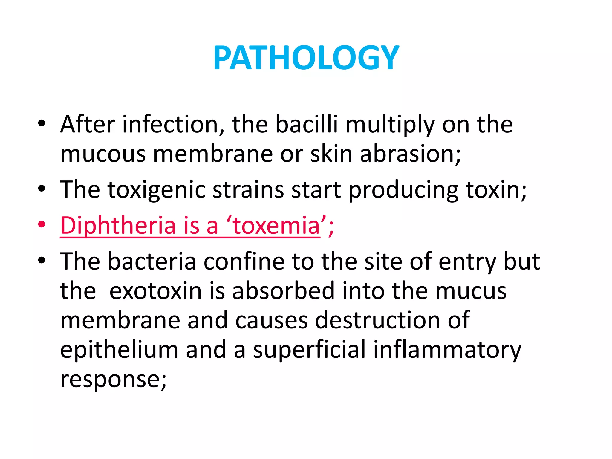 PATHOLOGY
• After infection, the bacilli multiply on the
mucous membrane or skin abrasion;
• The toxigenic strains start producing toxin;
• Diphtheria is a ‘toxemia’;
• The bacteria confine to the site of entry but
the exotoxin is absorbed into the mucus
membrane and causes destruction of
epithelium and a superficial inflammatory
response;
 