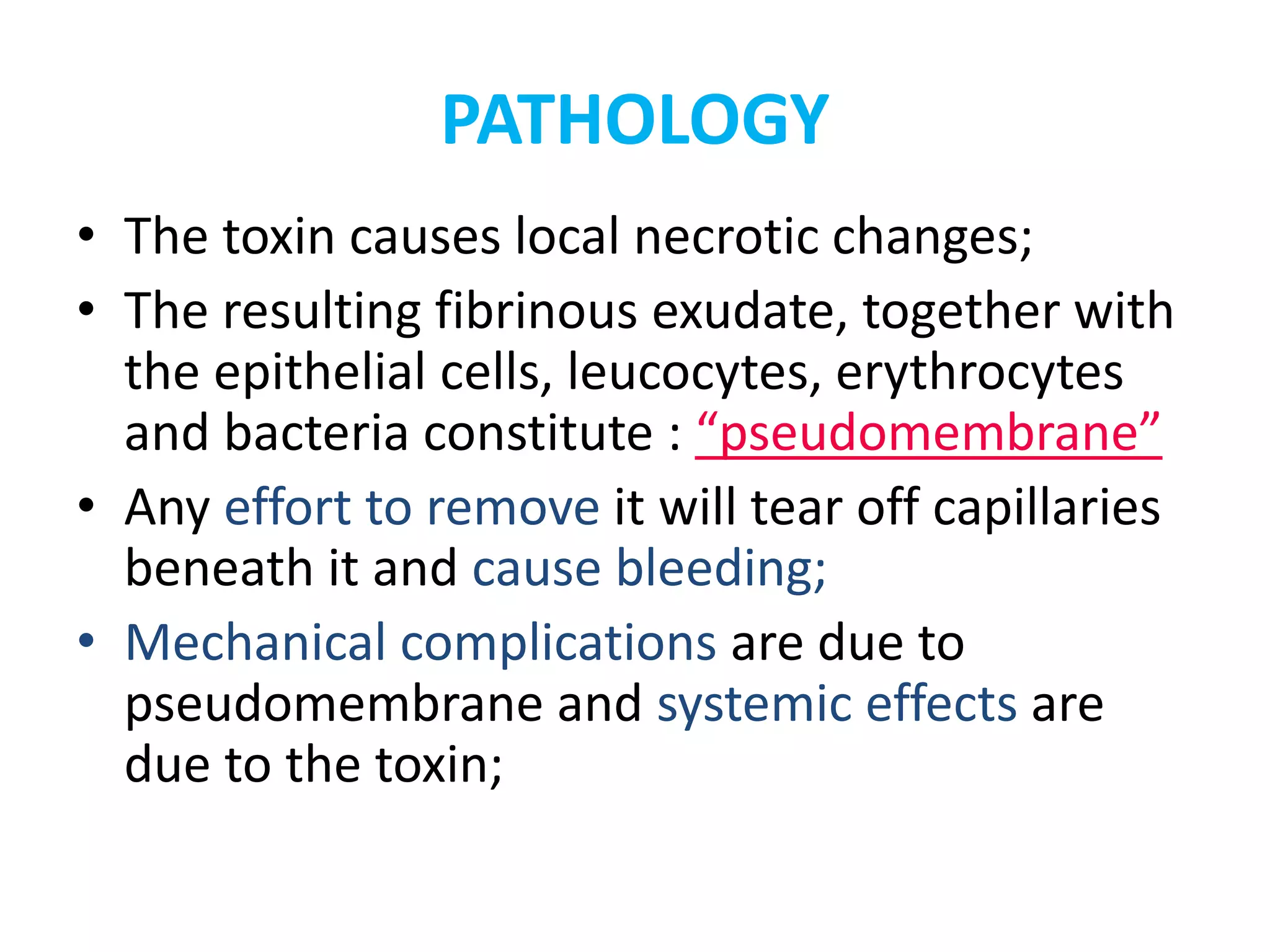 PATHOLOGY
• The toxin causes local necrotic changes;
• The resulting fibrinous exudate, together with
the epithelial cells, leucocytes, erythrocytes
and bacteria constitute : “pseudomembrane”
• Any effort to remove it will tear off capillaries
beneath it and cause bleeding;
• Mechanical complications are due to
pseudomembrane and systemic effects are
due to the toxin;
 