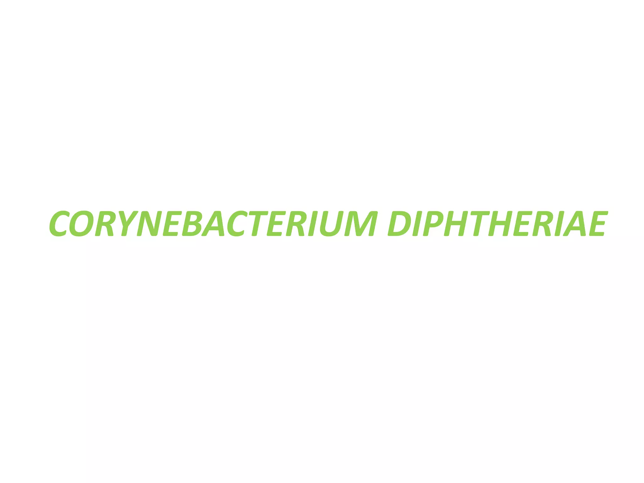 CORYNEBACTERIUM DIPHTHERIAE
 