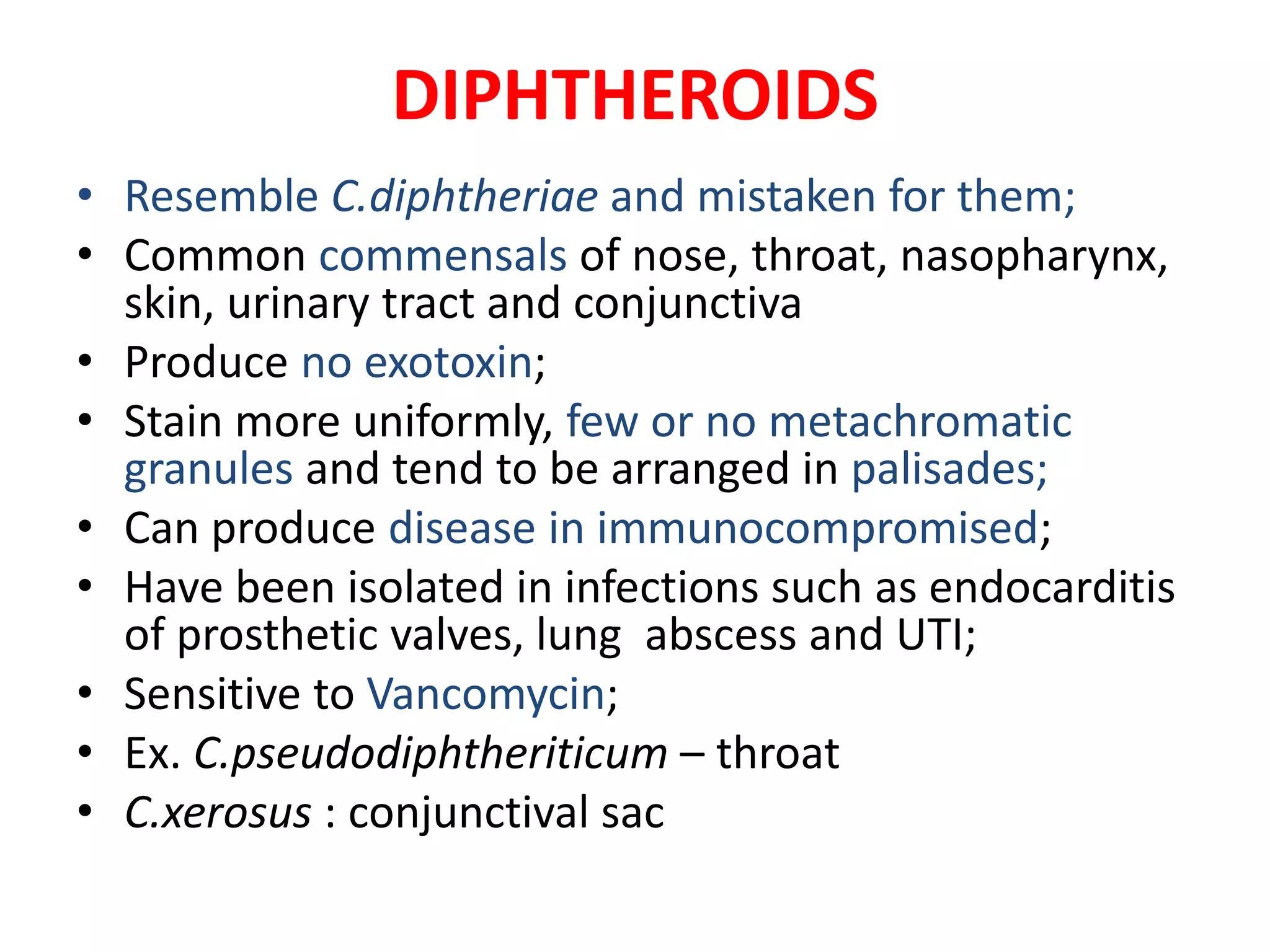 DIPHTHEROIDS
• Resemble C.diphtheriae and mistaken for them;
• Common commensals of nose, throat, nasopharynx,
skin, urinary tract and conjunctiva
• Produce no exotoxin;
• Stain more uniformly, few or no metachromatic
granules and tend to be arranged in palisades;
• Can produce disease in immunocompromised;
• Have been isolated in infections such as endocarditis
of prosthetic valves, lung abscess and UTI;
• Sensitive to Vancomycin;
• Ex. C.pseudodiphtheriticum – throat
• C.xerosus : conjunctival sac
 