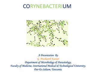 CORYNEBACTERIUM
A Presentation By
G. Prashanth Kumar
Department of Microbiology & Parasitology,
Faculty of Medicine, International Medical & Technological University,
Dar-Es-Salaam, Tanzania.
 