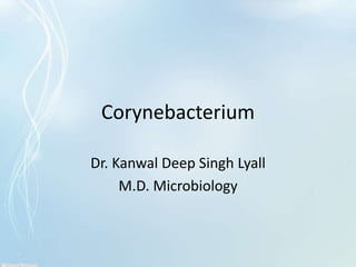 Corynebacterium
Dr. Kanwal Deep Singh Lyall
M.D. Microbiology
 