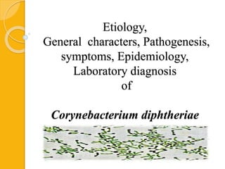 Etiology,
General characters, Pathogenesis,
symptoms, Epidemiology,
Laboratory diagnosis
of
Corynebacterium diphtheriae
 