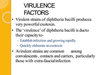 VIRULENCE
FACTORS
• Virulent strains of diphtheria bacilli producea
very powerfulexotoxin.
• The‘virulence’of diphtheria bacilli isdueto
their capacityto-
– Establishinfection and growingrapidly
– Quickly elaborate anexotoxin
• Avirulent strains are common among
convalescents, contacts and carriers, particularly
those with extra-faucialinfection
 