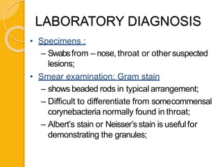 LABORATORY DIAGNOSIS
• Specimens :
– Swabsfrom – nose, throat or other suspected
lesions;
• Smear examination: Gram stain
– shows beaded rods in typical arrangement;
– Difficult to differentiate from somecommensal
corynebacteria normally found in throat;
– Albert’s stain or Neisser’s stain is usefulfor
demonstrating the granules;
 