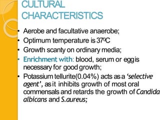 CULTURAL
CHARACTERISTICS
• Aerobe and facultative anaerobe;
• Optimum temperature is370C
• Growth scanty on ordinary media;
• Enrichment with: blood, serum or eggis
necessary for goodgrowth;
• Potassiumtellurite(0.04%) acts asa‘selective
agent’, asit inhibits growth of most oral
commensalsand retards the growth ofCandida
albicans and S.aureus;
 