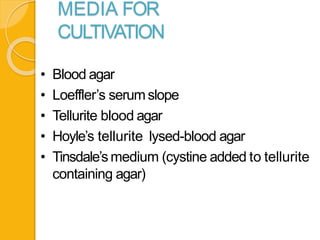 MEDIA FOR
CULTIVATION
• Blood agar
• Loeffler’s serumslope
• Tellurite blood agar
• Hoyle’s tellurite lysed-blood agar
• Tinsdale’s medium (cystine added to tellurite
containing agar)
 