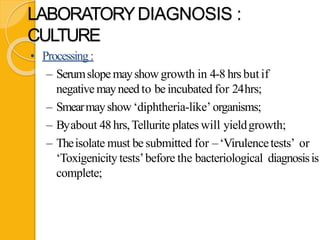 LABORATORYDIAGNOSIS :
CULTURE
• Processing:
– Serumslope mayshowgrowth in 4-8 hrs but if
negativemayneed to be incubated for 24hrs;
– Smearmayshow ‘diphtheria-like’ organisms;
– Byabout 48hrs,Tellurite plates will yieldgrowth;
– Theisolate must be submitted for –‘Virulencetests’ or
‘Toxigenicity tests’before the bacteriological diagnosisis
complete;
 
