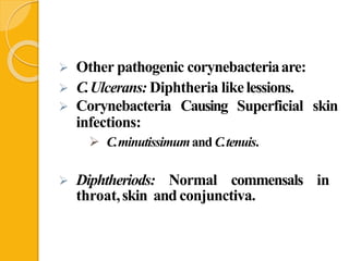  Other pathogenic corynebacteriaare:
 C.Ulcerans: Diphtheria likelessions.
 Corynebacteria Causing Superficial skin
infections:
 C.minutissimumand C.tenuis.
 Diphtheriods: Normal commensals in
throat,skin and conjunctiva.
 