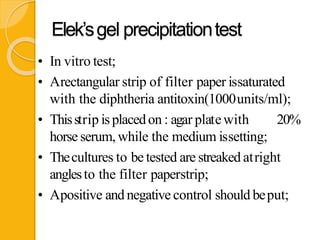 Elek’sgel precipitationtest
• In vitro test;
• Arectangular strip of filter paper issaturated
with the diphtheria antitoxin(1000units/ml);
• Thisstrip isplacedon : agar platewith 20%
horse serum, while the medium issetting;
• Thecultures to be tested are streaked atright
anglesto the filter paperstrip;
• Apositive and negative control should beput;
 