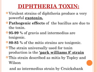 DIPHTHERIA TOXIN:
 Virulent strains of diphtheria produce a very
powerful exotoxin.
 Pathogenic effects of the bacillus are due to
the toxin.
 95-99 % of gravis and intermedius are
toxigenic.
 80-85 % of the mitis strains are toxigenic.
 The strain universally used for toxin
production is the ‘park williams 8’ strain
 This strain described as mitis by Topley and
Wilson
and as intermedius strain by Cruickshank
 