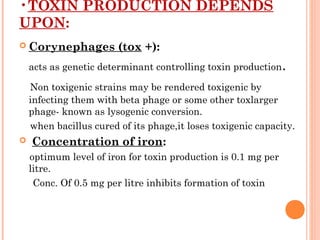•TOXIN PRODUCTION DEPENDS
UPON:
 Corynephages (tox +):
acts as genetic determinant controlling toxin production.
Non toxigenic strains may be rendered toxigenic by
infecting them with beta phage or some other toxlarger
phage- known as lysogenic conversion.
when bacillus cured of its phage,it loses toxigenic capacity.
 Concentration of iron:
optimum level of iron for toxin production is 0.1 mg per
litre.
Conc. Of 0.5 mg per litre inhibits formation of toxin
 