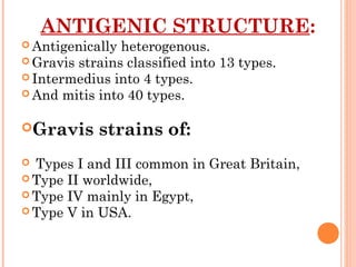 ANTIGENIC STRUCTURE:
 Antigenically heterogenous.
 Gravis strains classified into 13 types.
 Intermedius into 4 types.
 And mitis into 40 types.
Gravis strains of:
 Types I and III common in Great Britain,
 Type II worldwide,
 Type IV mainly in Egypt,
 Type V in USA.
 