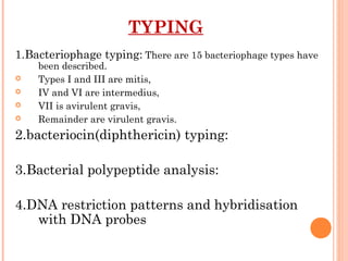 TYPING
1.Bacteriophage typing: There are 15 bacteriophage types have
been described.
 Types I and III are mitis,
 IV and VI are intermedius,
 VII is avirulent gravis,
 Remainder are virulent gravis.
2.bacteriocin(diphthericin) typing:
3.Bacterial polypeptide analysis:
4.DNA restriction patterns and hybridisation
with DNA probes
 
