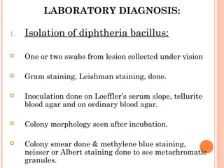LABORATORY DIAGNOSIS:
1. Isolation of diphtheria bacillus:
 One or two swabs from lesion collected under vision
 Gram staining, Leishman staining, done.
 Inoculation done on Loeffler’s serum slope, tellurite
blood agar and on ordinary blood agar.
 Colony morphology seen after incubation.
 Colony smear done & methylene blue staining,
neisser or Albert staining done to see metachromatic
granules.
 