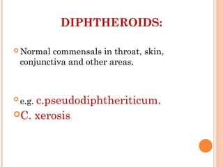DIPHTHEROIDS:
 Normal commensals in throat, skin,
conjunctiva and other areas.
 e.g. c.pseudodiphtheriticum.
C. xerosis.
 